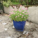 1749257424-7.jpg
