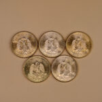 187421085-1.jpg