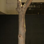 1013569230-5.jpg