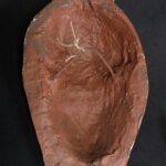 1131802569-3.jpg