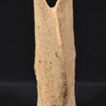 1698777954-4.jpg