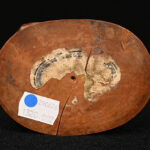 454910401-7.jpg