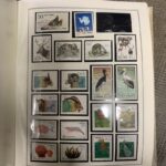 973280134-11.jpg