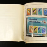 973280134-2.jpg