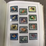 973280134-20.jpg