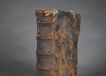1572431872.jpg