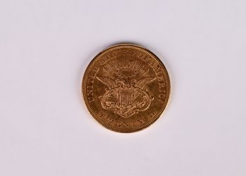 457204463.jpg